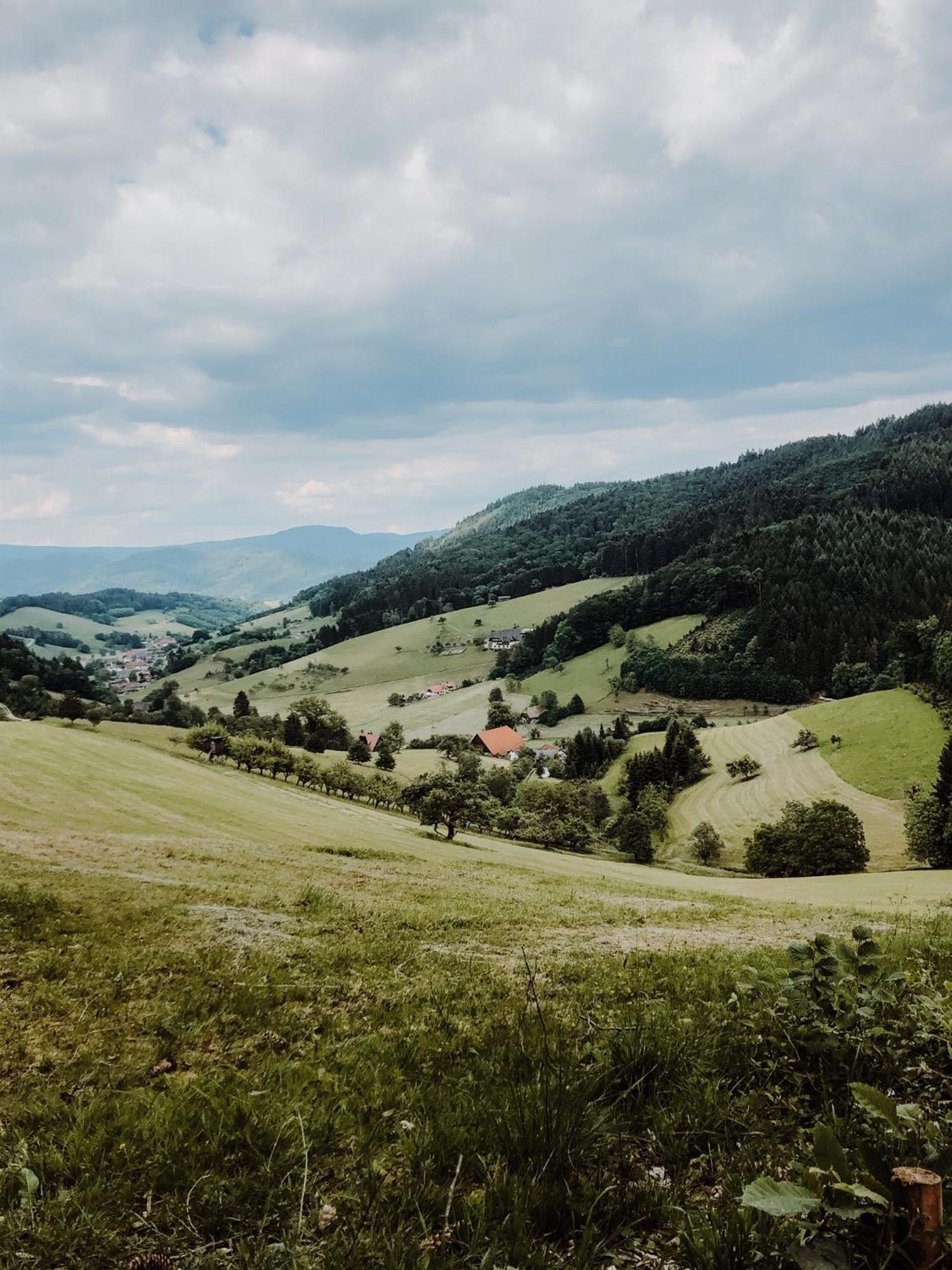 Badischer Hof 4* Biberach bei Offenburg
